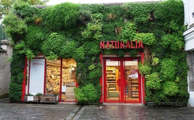 Naturalia