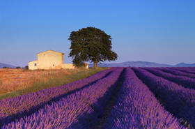 Provence