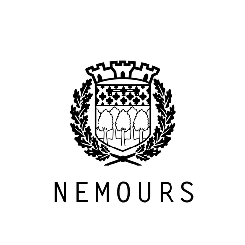 Ouvrir-creer-reprendre-ceder-commerce-franchise-nemours