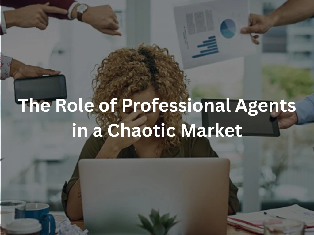 The Role of Professional Agents in a Chaotic Market