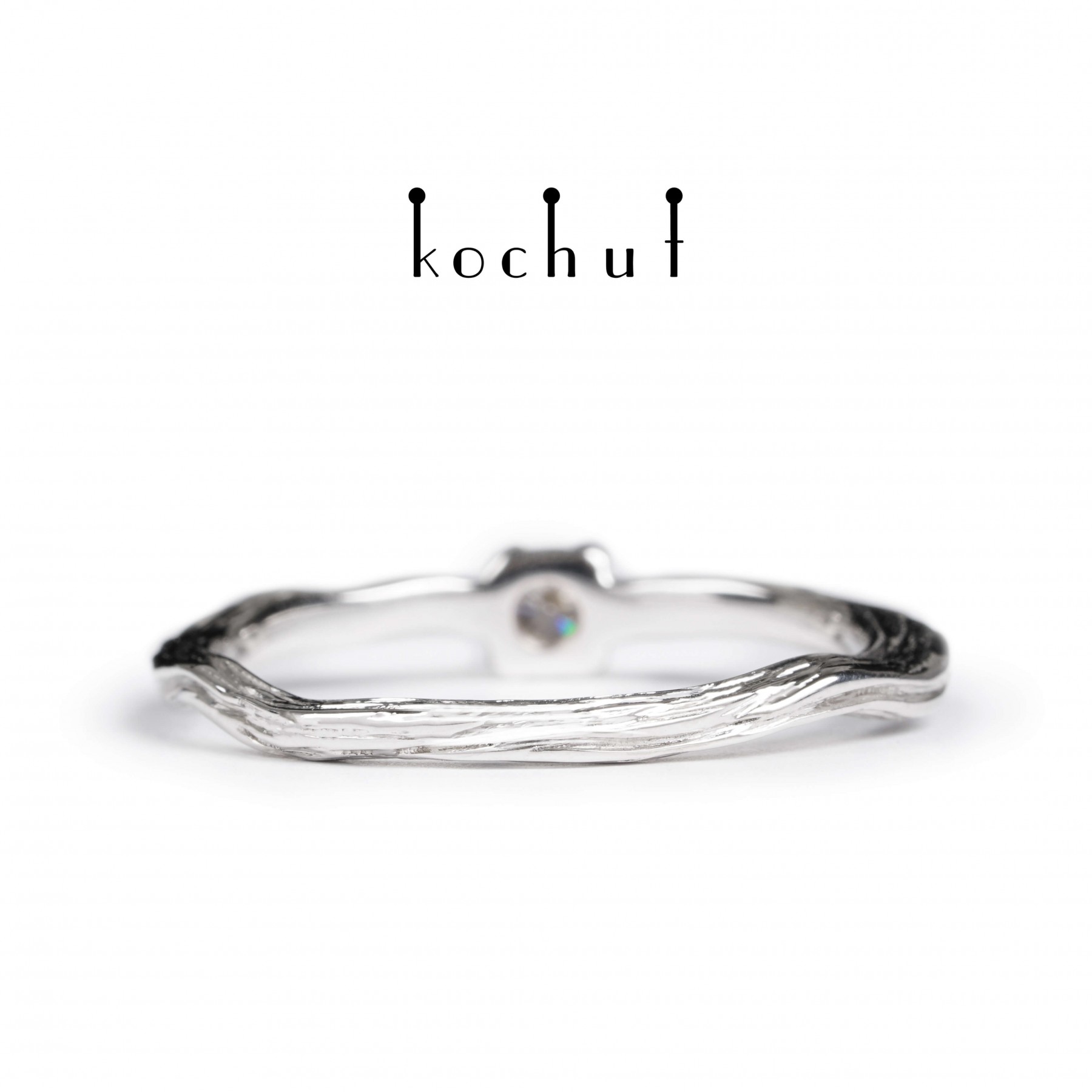 Winter twig - Image 6