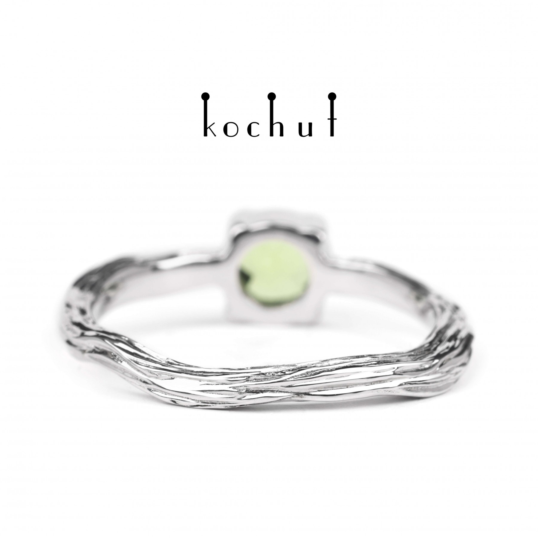 Winter twig - Image 6