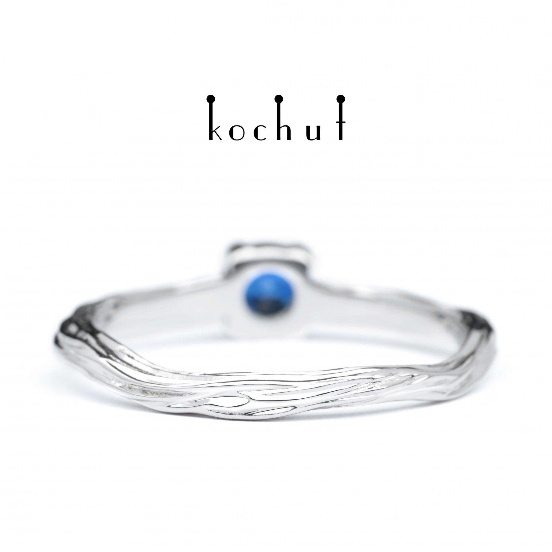 Winter twig - Image 6