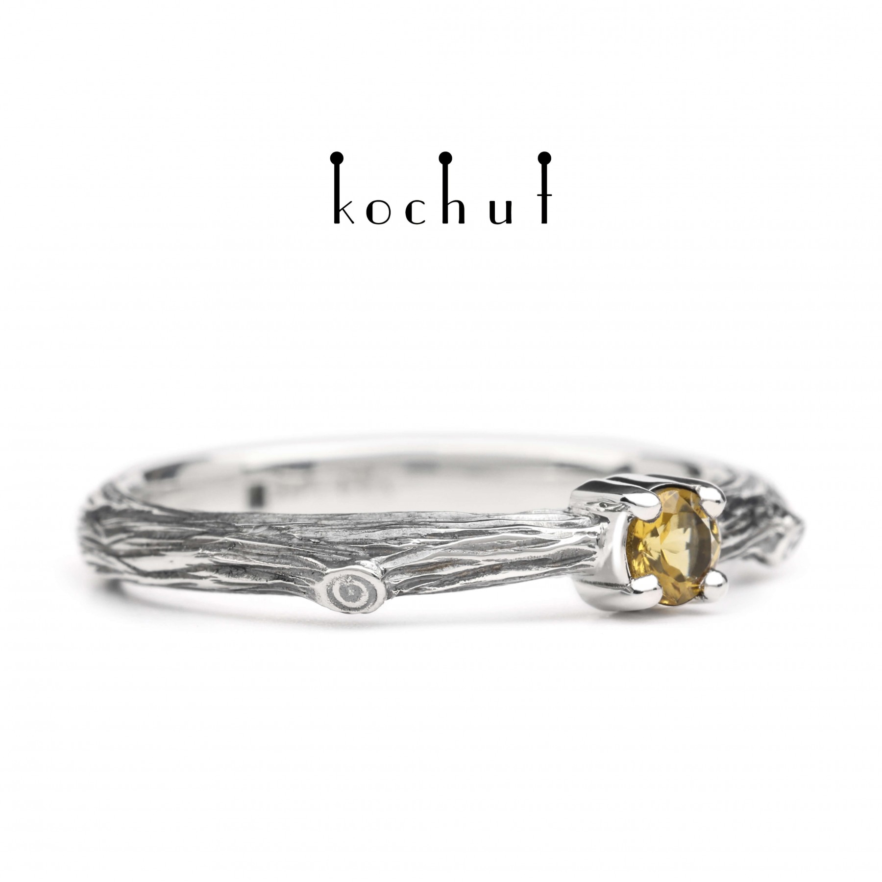 Fragile Twig - Image 5