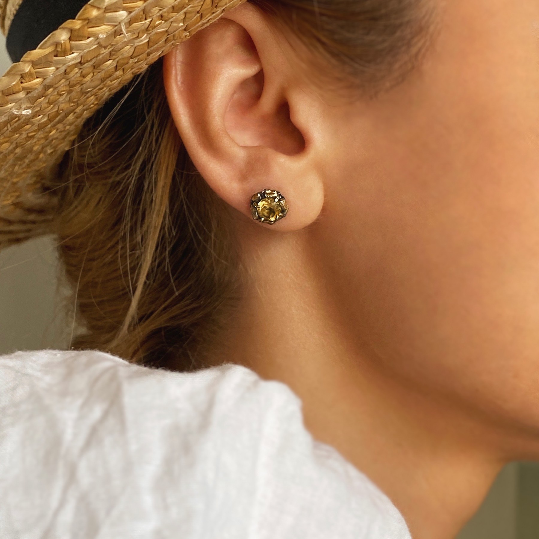 Sunny Forest - Image 6