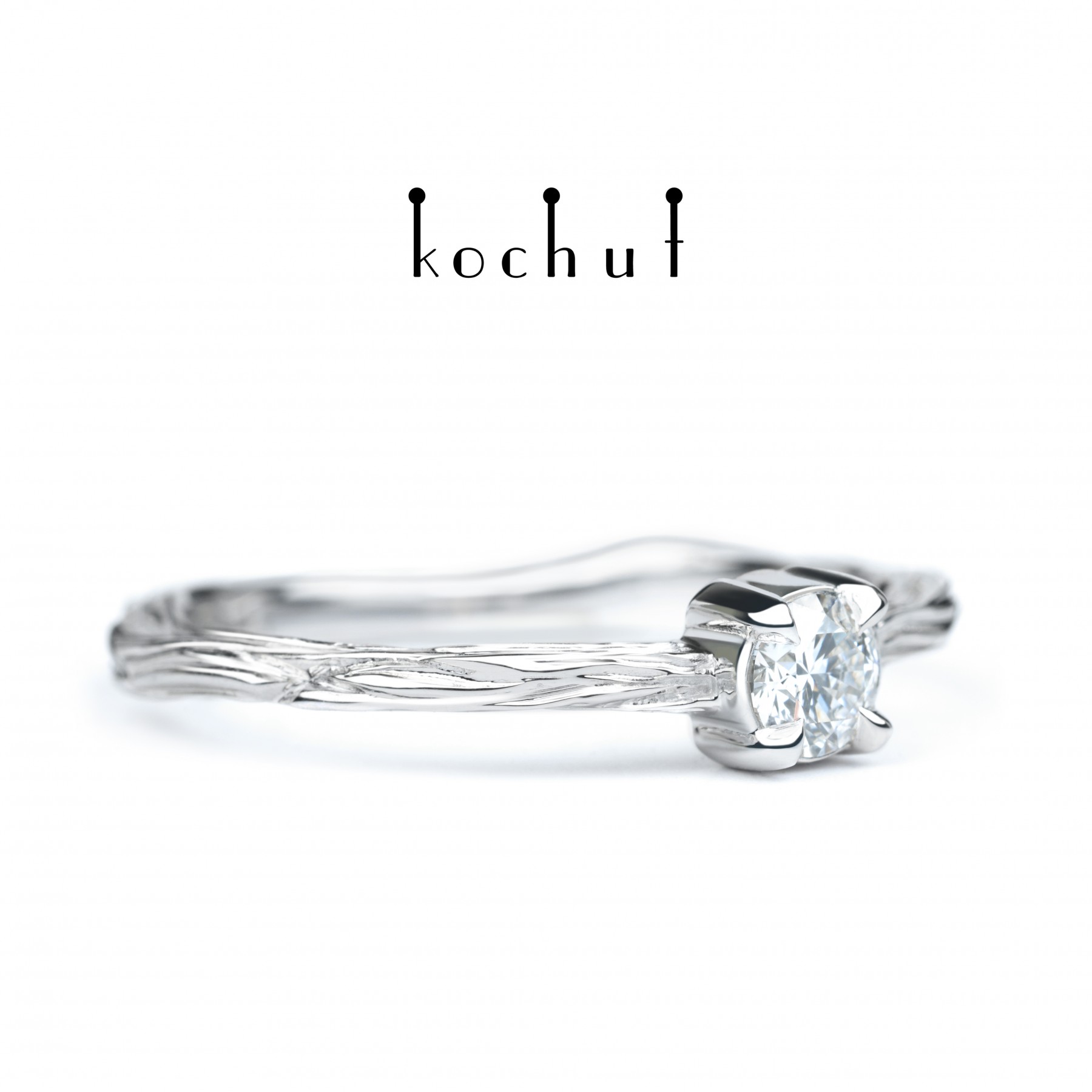 Winter twig - Image 5