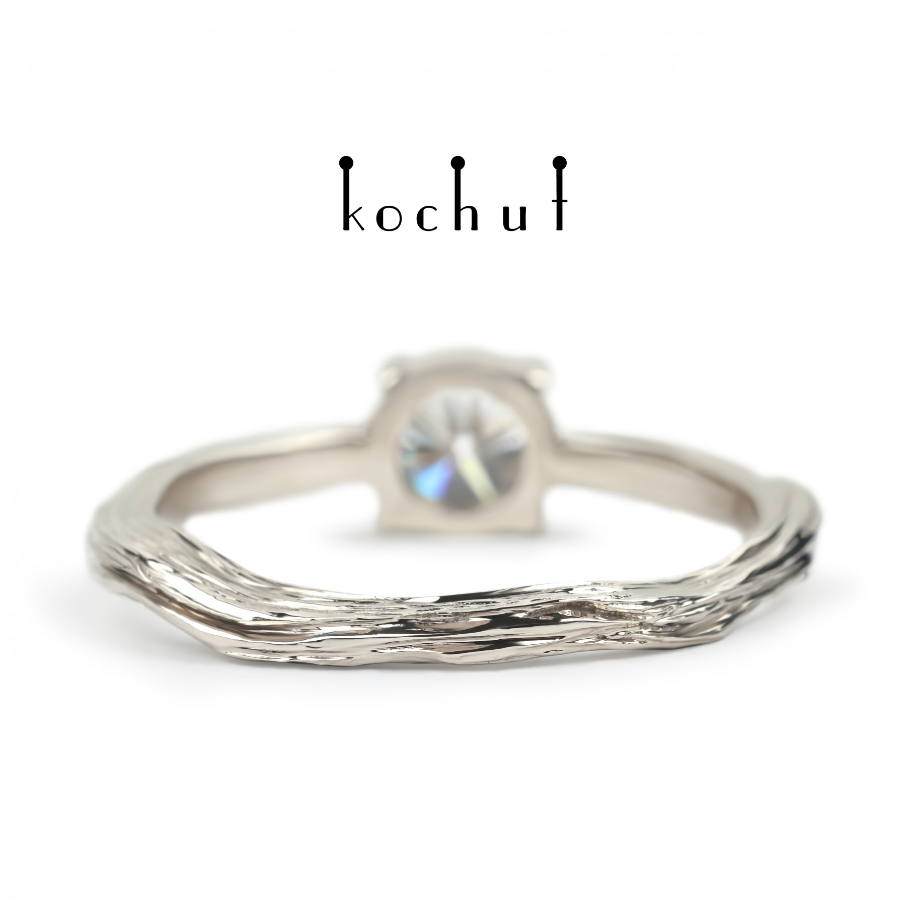 Winter twig - Image 7