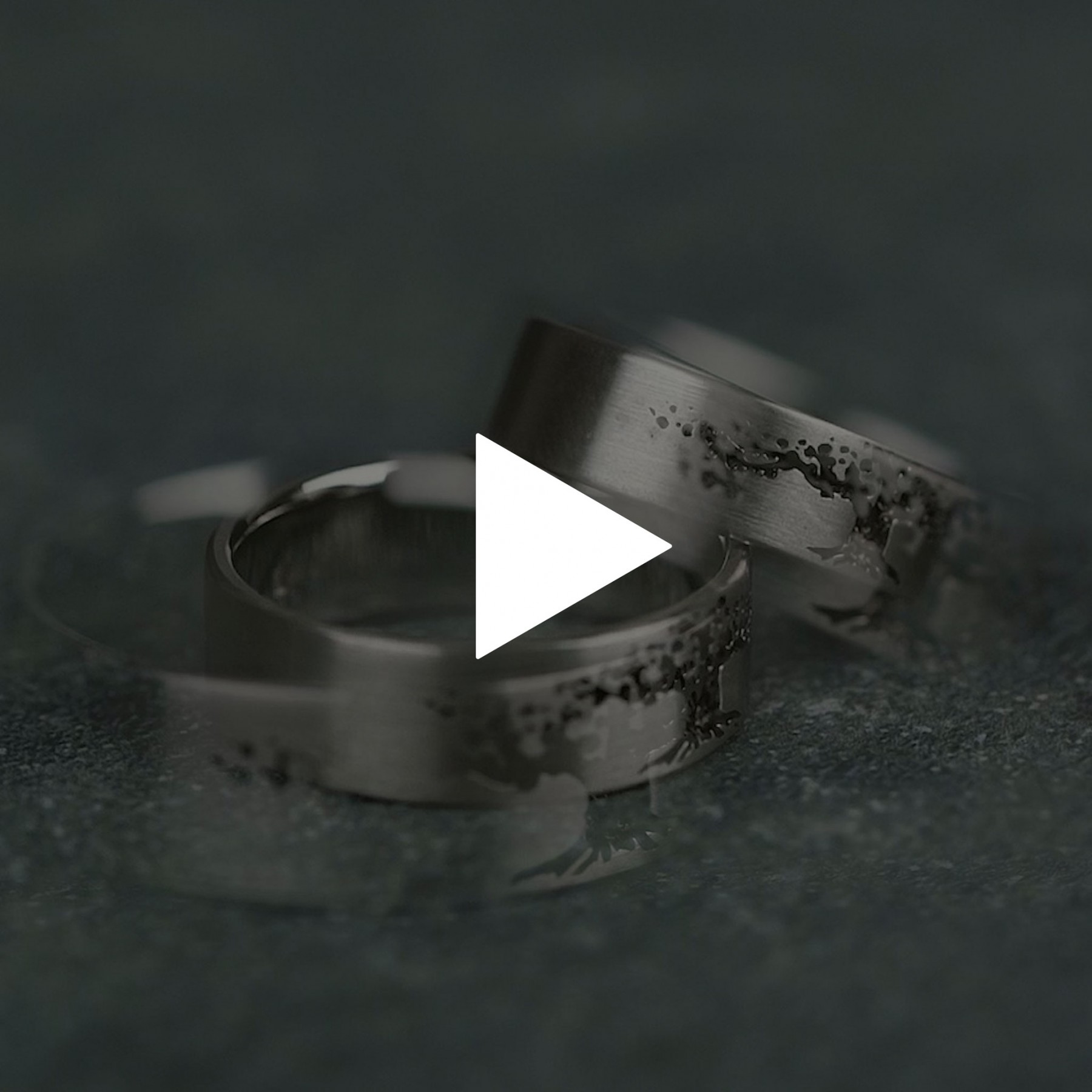 Tree of Life - Image 7