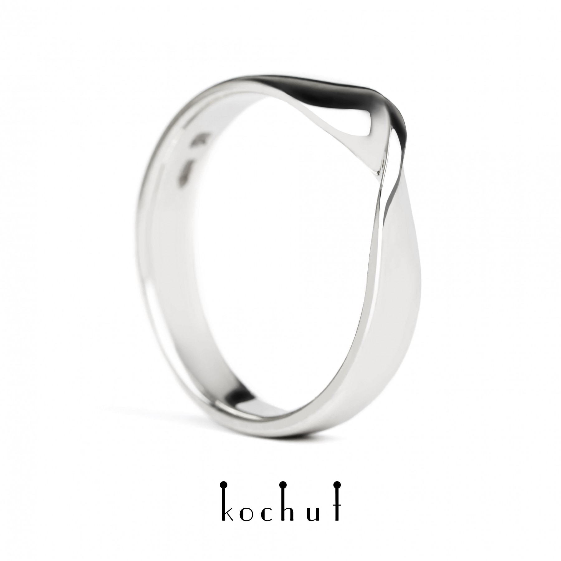 The Mobius ribbon: wide - Image 6