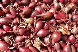 echalottes sachet 500g