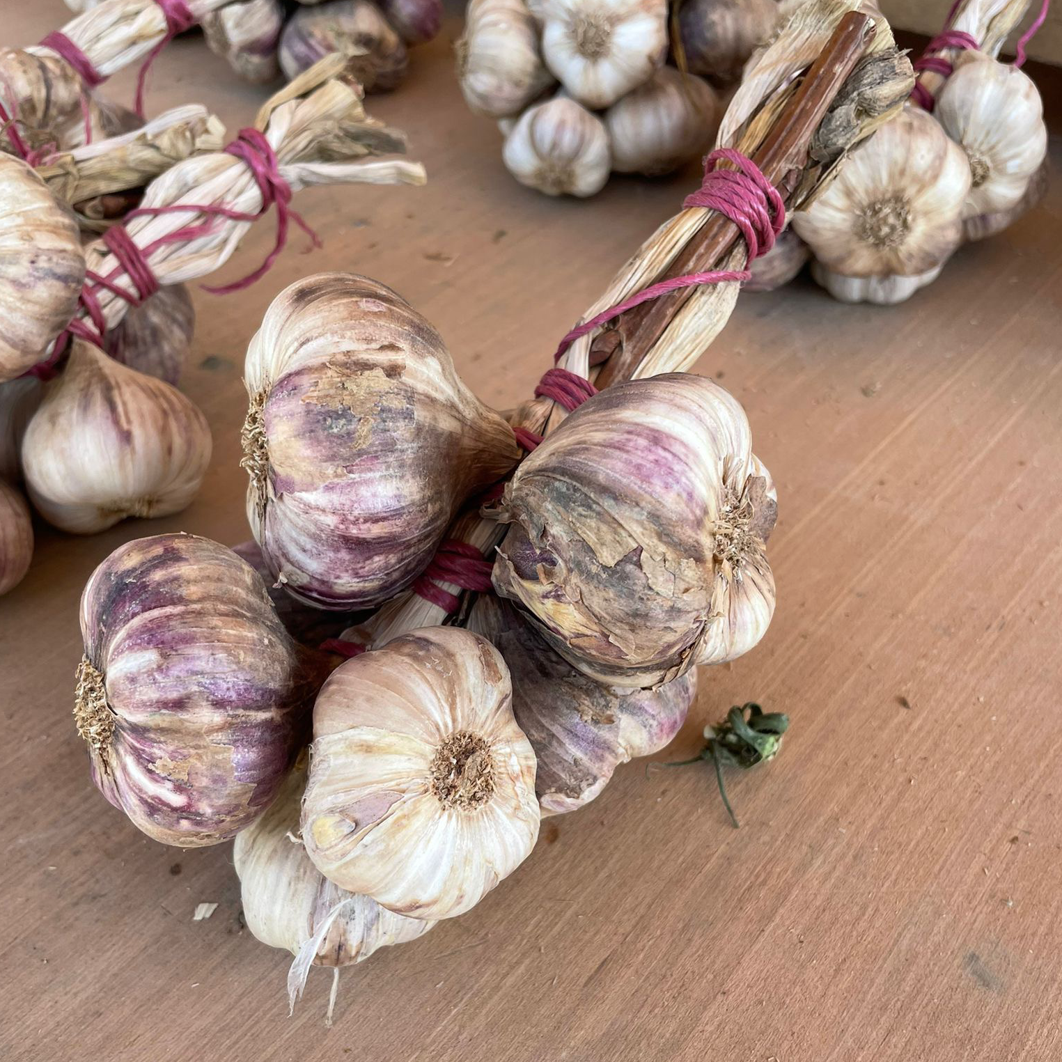 AIL VIOLET MANOUILLE 500G