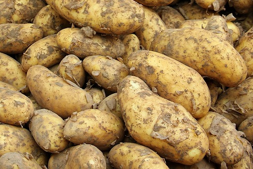 POMME DE TERRE monalisa non lavée au kg