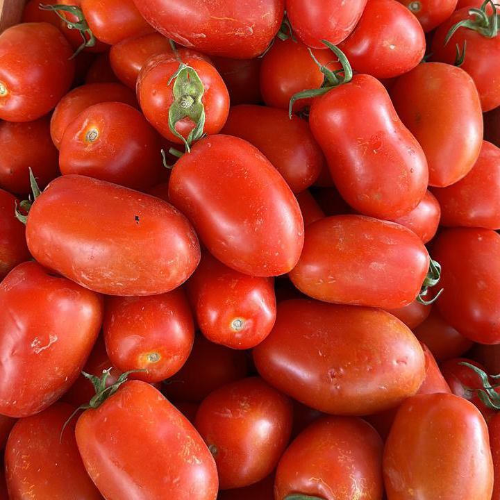 TOMATE ROMA