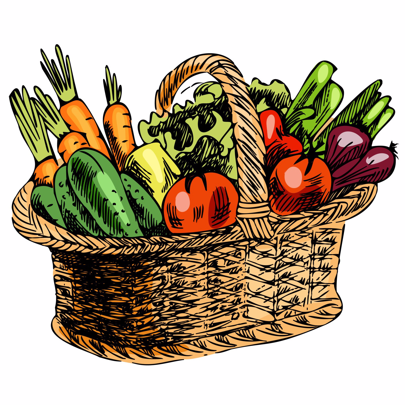 Panier de légumes pour 4/5 personnes