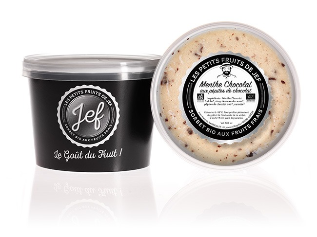 Sorbet Bio - 500 ml - Menthe Chocolat aux Pépites de Chocolat