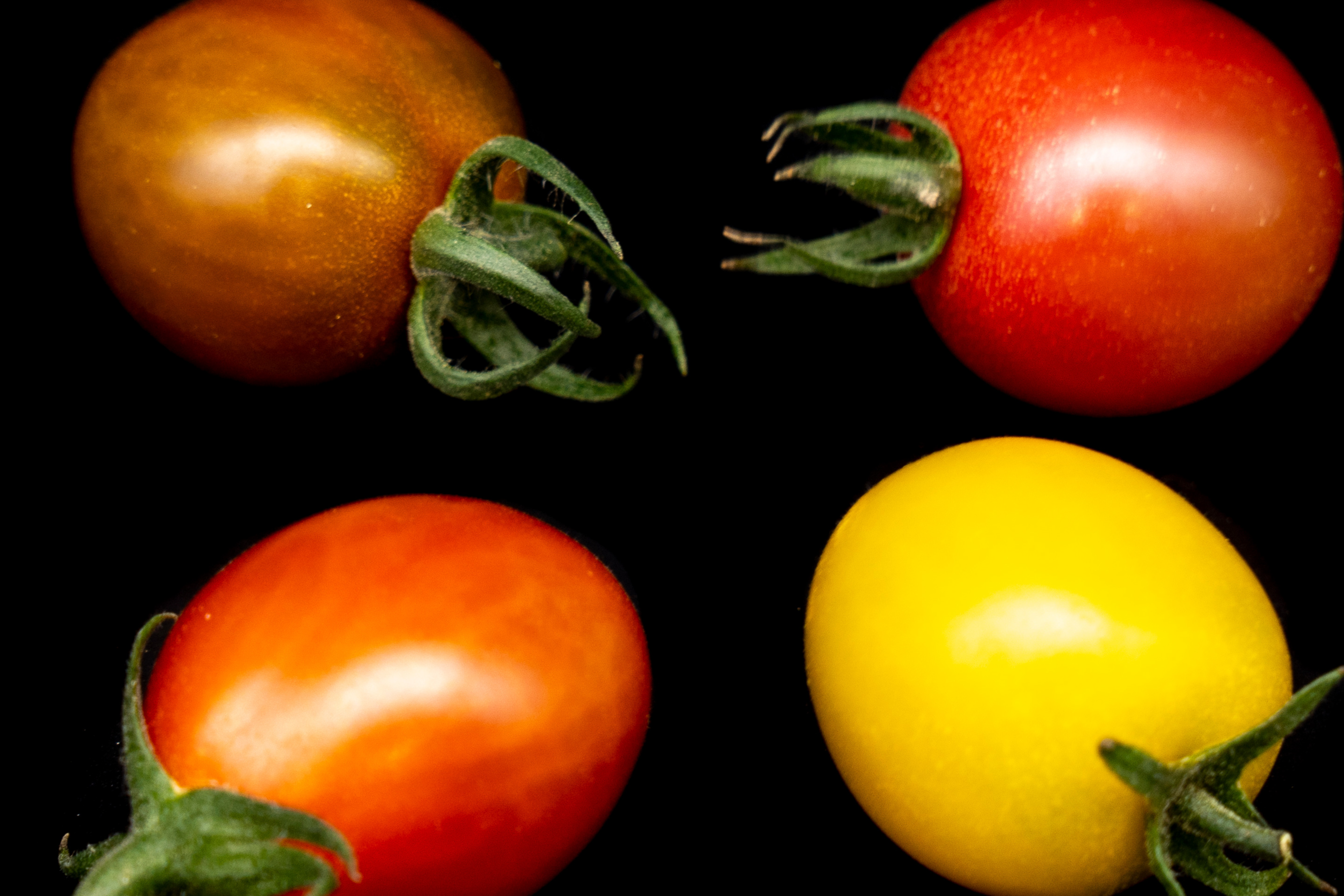 TOMATES CERISES au kg