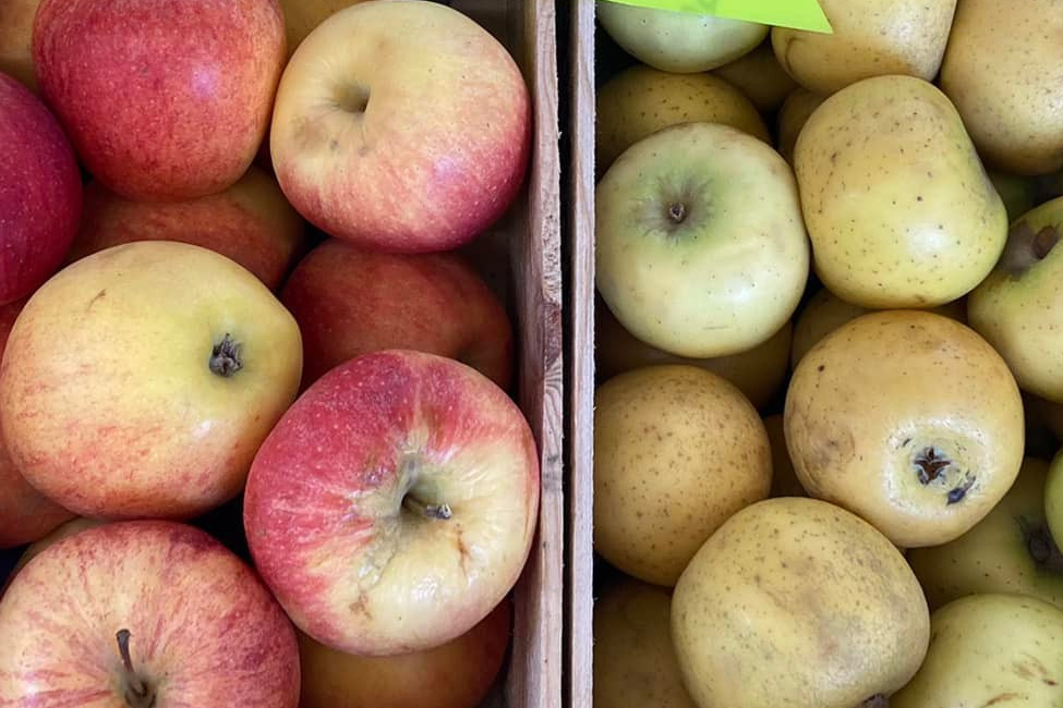 POMME BIO crimson rouge au kg