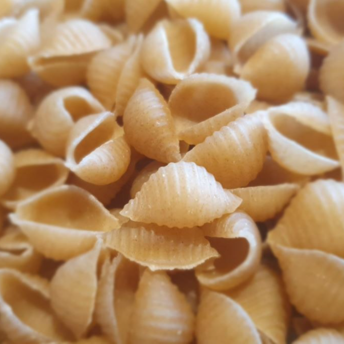 Conchiglie blés populations- vrac (lot : 28-04-27))