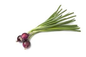 Oignons Frais Ronds Rouges avec Feuilles, la botte