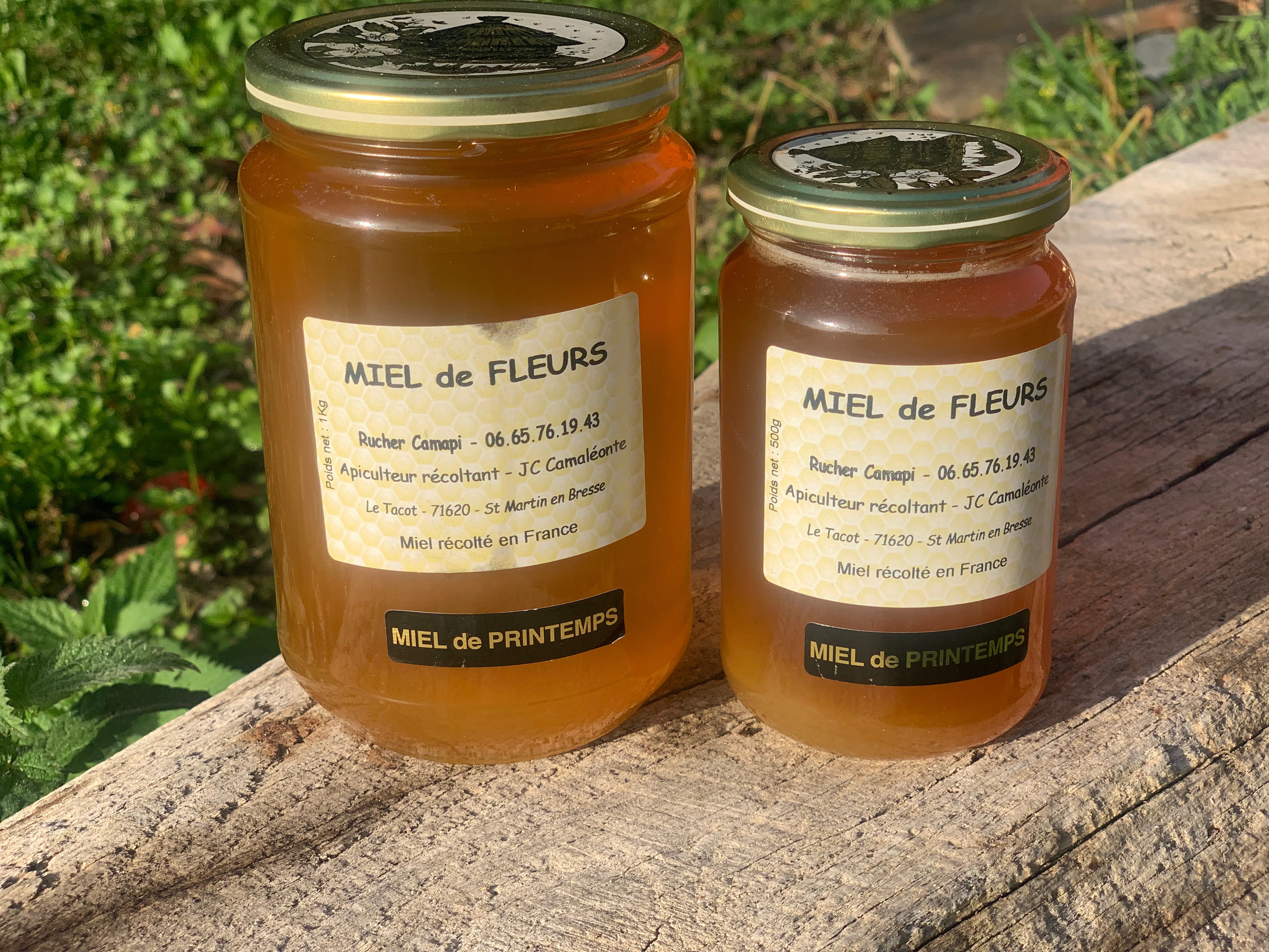 Miel de printemps (500g)