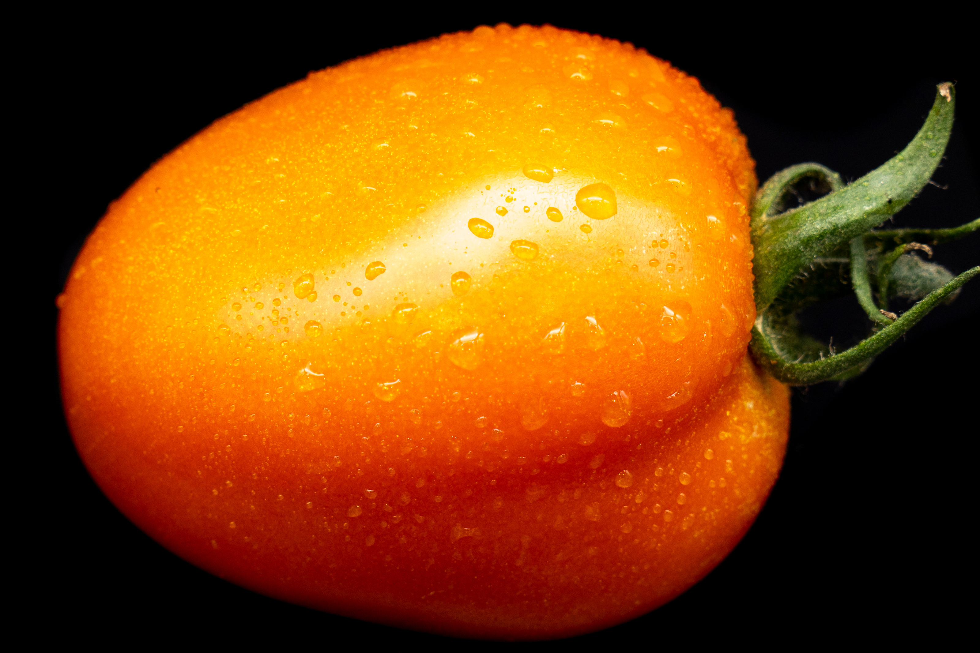TOMATE ROMA SERRE au kg
