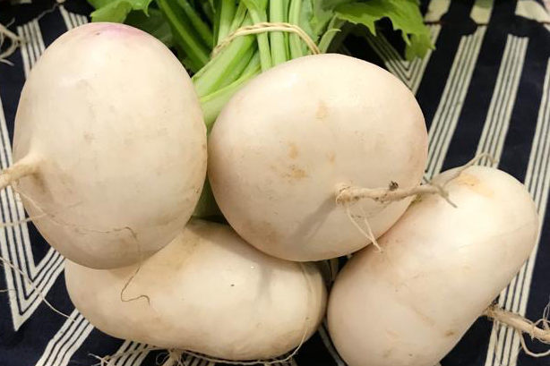 Navet blanc japonais Rabiole - botte