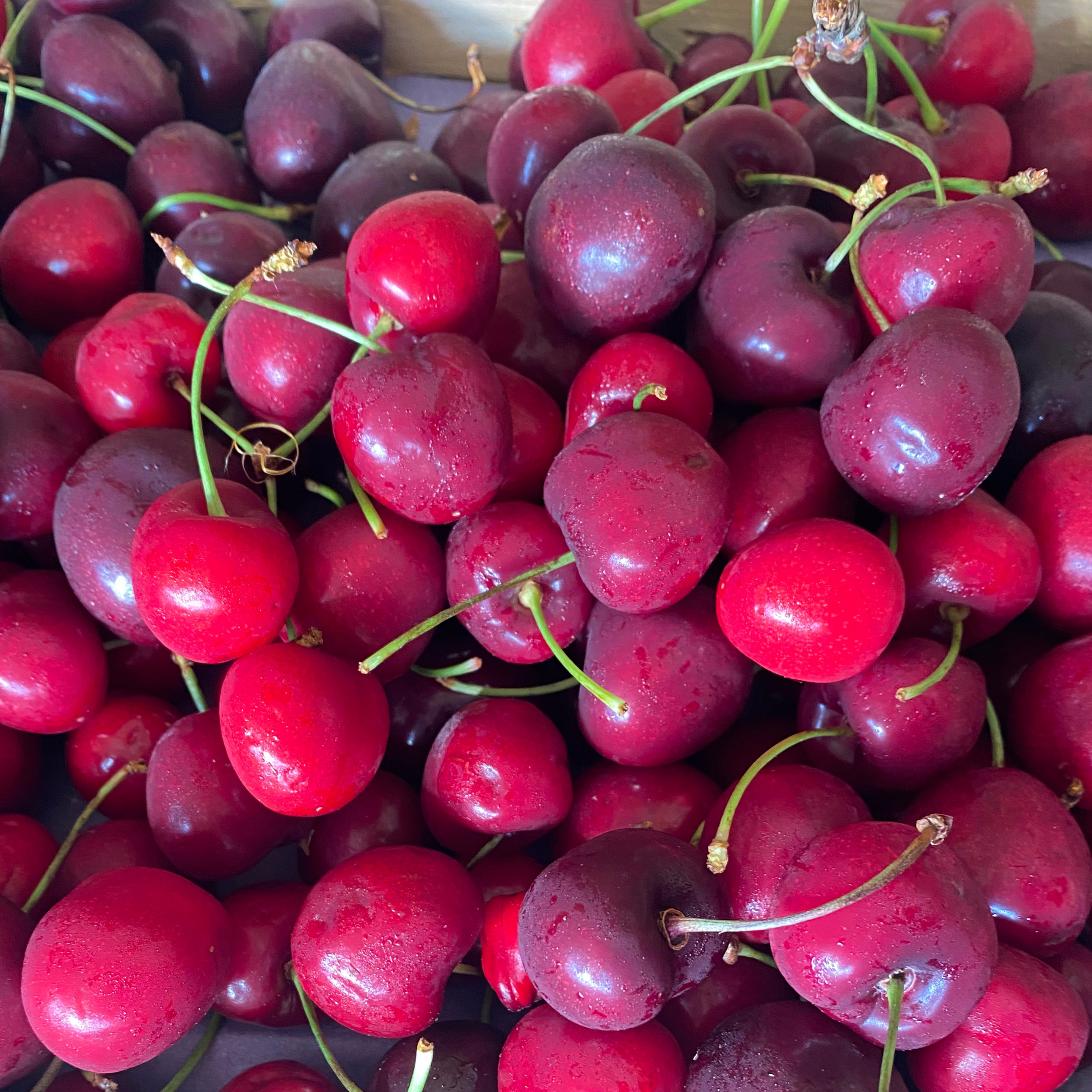 CERISES
