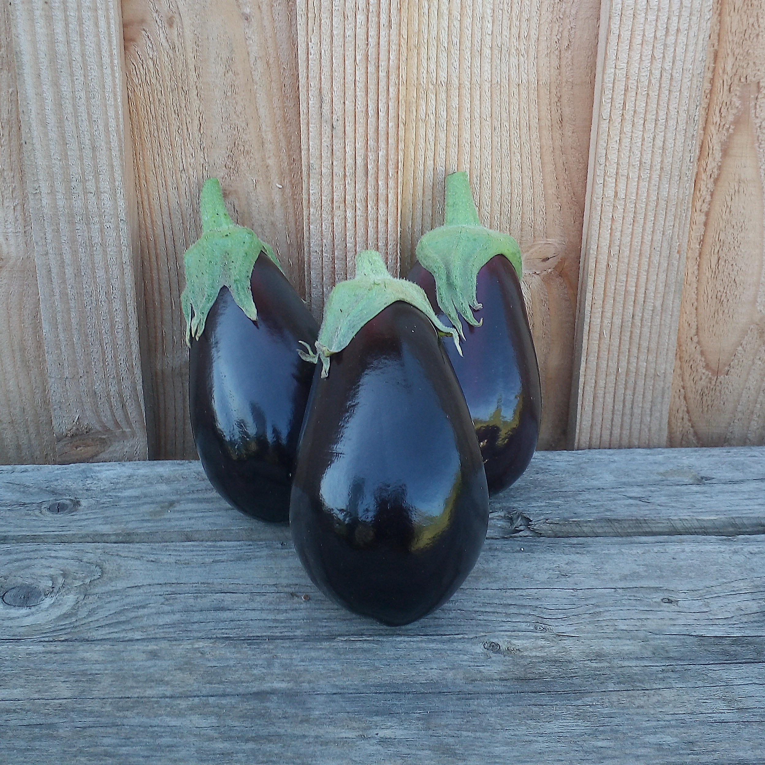 Aubergine 500g - 500g
