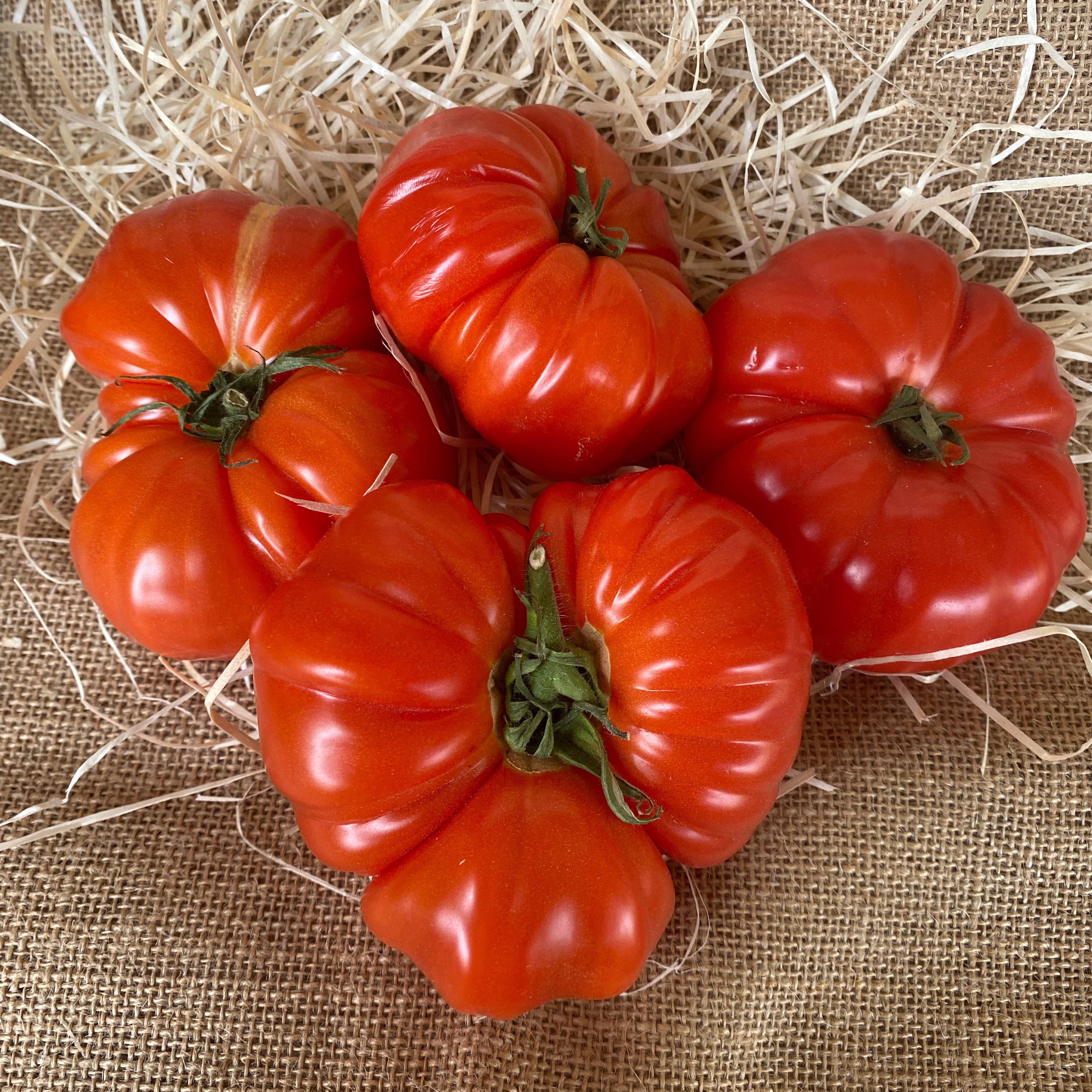 TOMATE MARMANDE fr