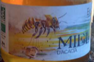 Miel d'acacia (500g)