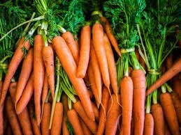 Carotte Botte