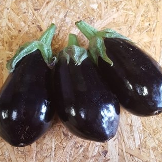 Aubergine - 500g