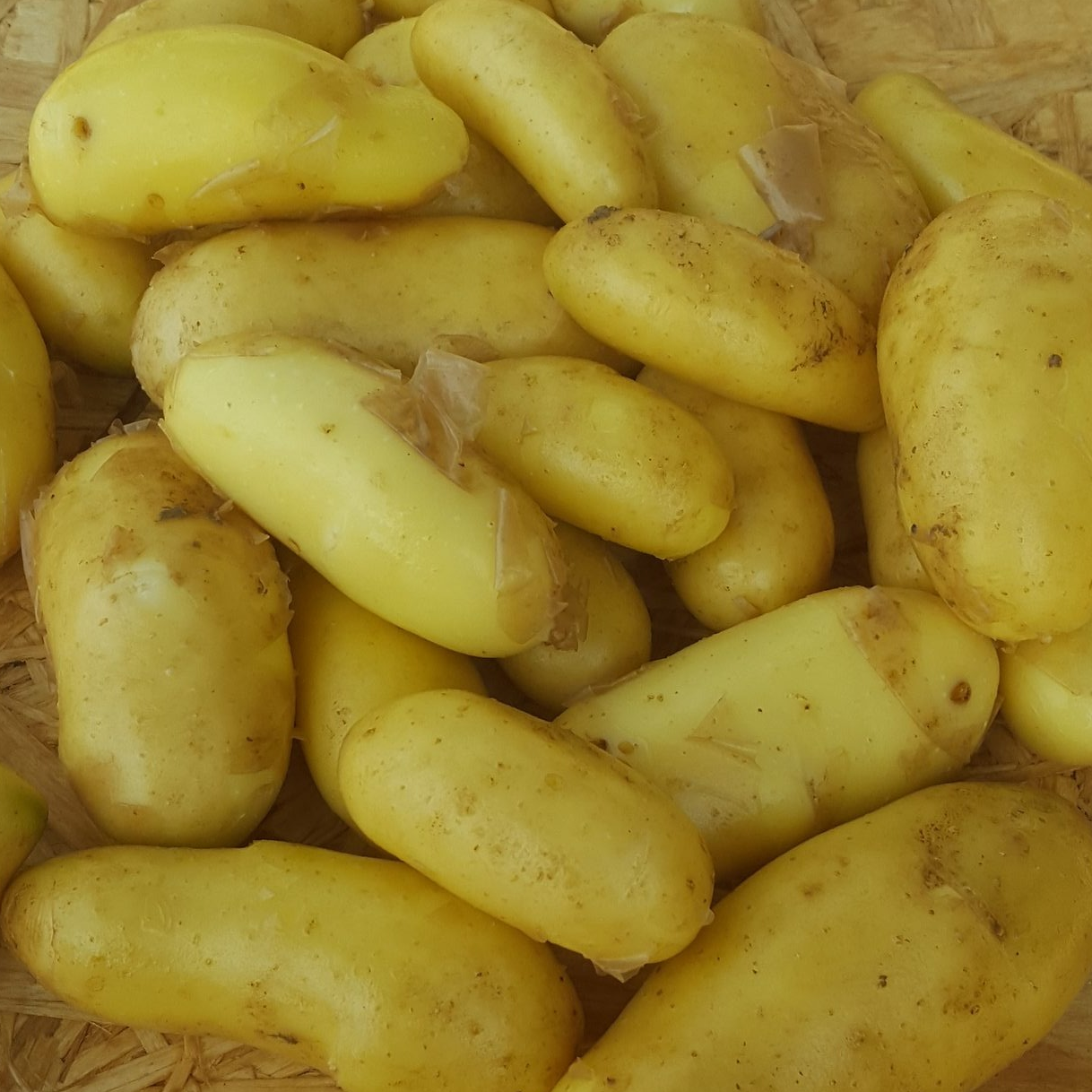 Pomme de terre "Annabelle" - 500g
