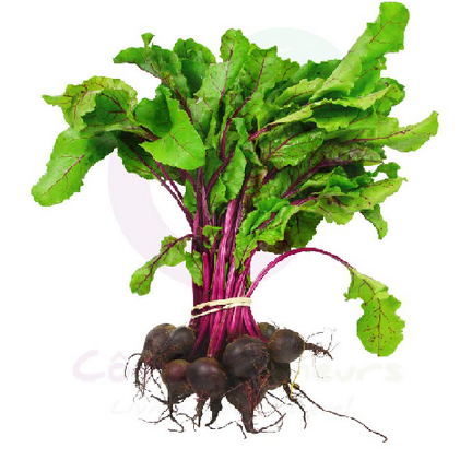 Betterave rouge avec fanes