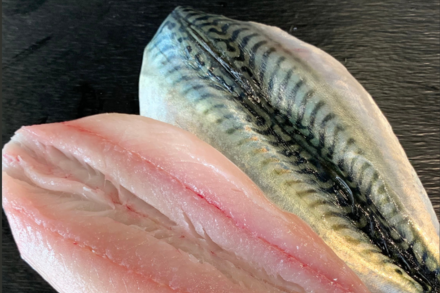 Filet de maquereau (500gr)