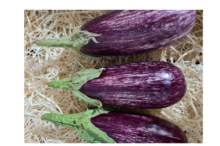 AUBERGINE zébrée au kg