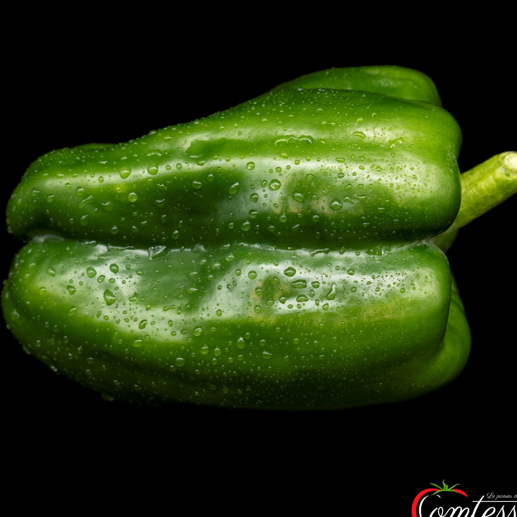 Poivron vert au kg