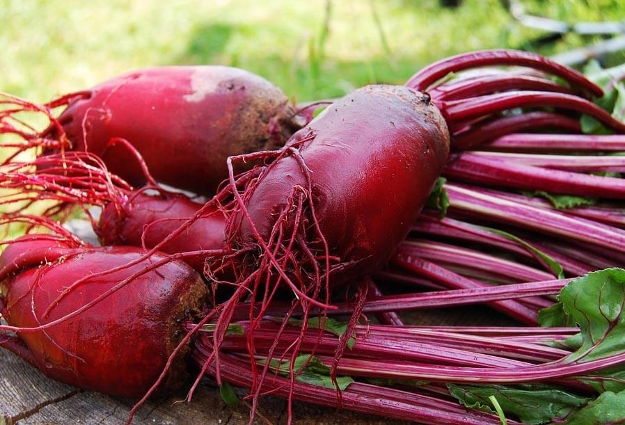 Betterave