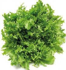 Salade Reine des Glaces, la pièce