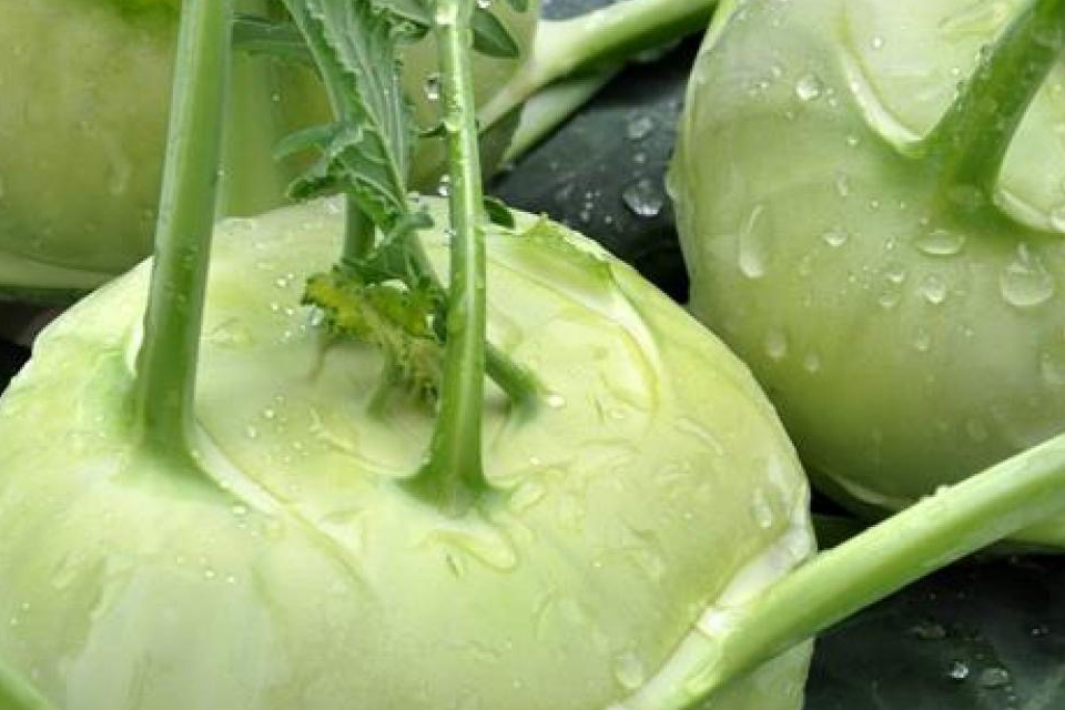 Chou rave vert (unité)