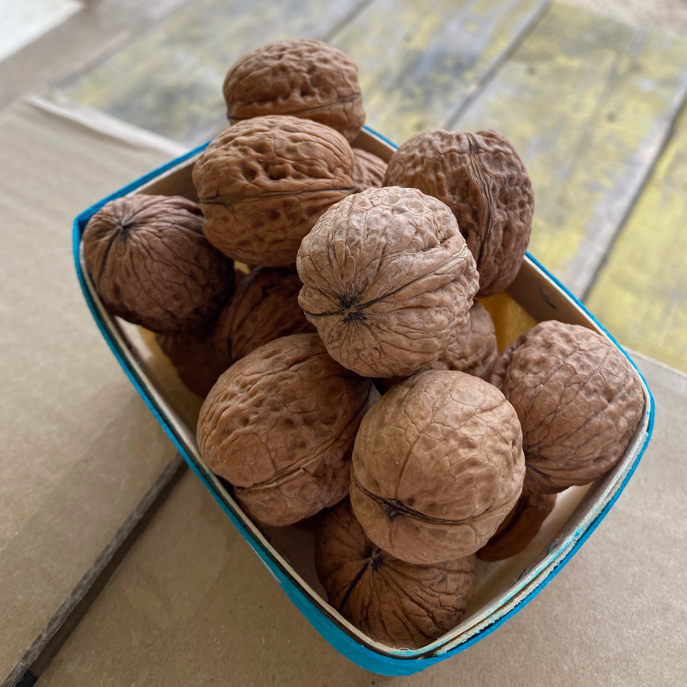 Noix De Grenoble - petite barquette