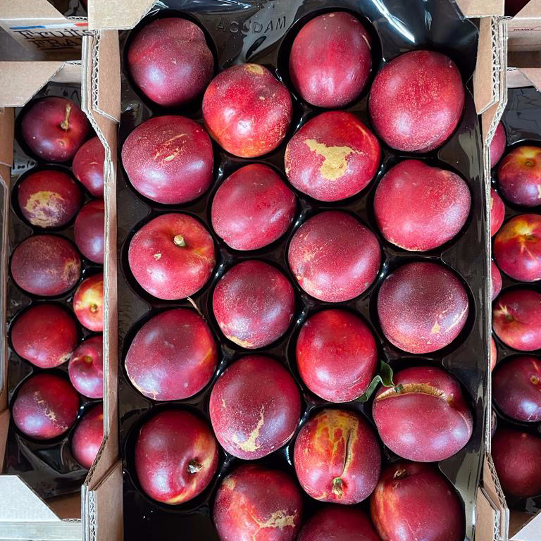 NECTARINE / Mini plateau