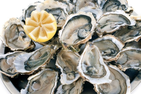 Plateau fruit mer "l'ancre de seiche n°7"