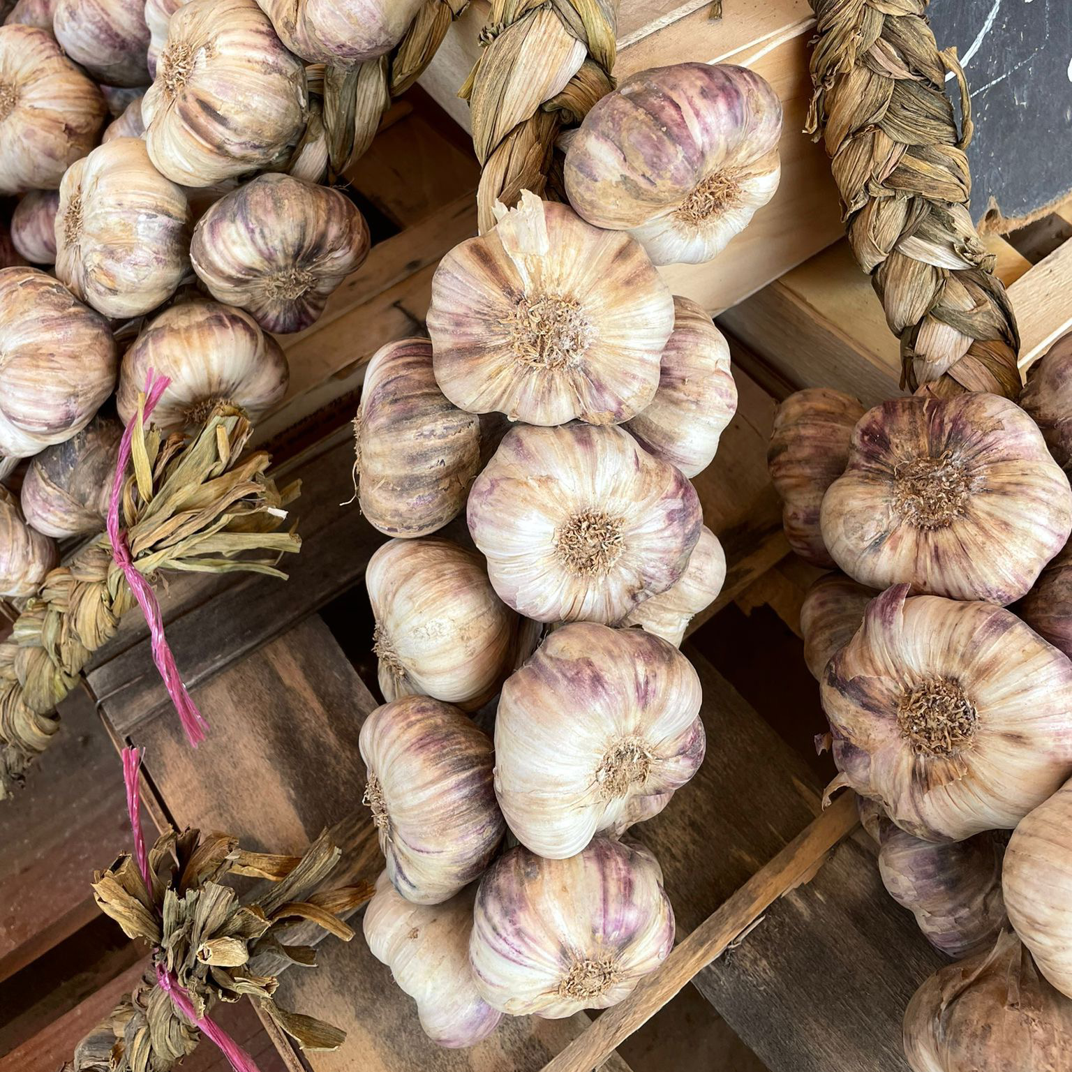 AIL VIOLET TRESSE 1KG