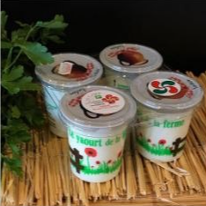 lot de 4 yaourts de brebis