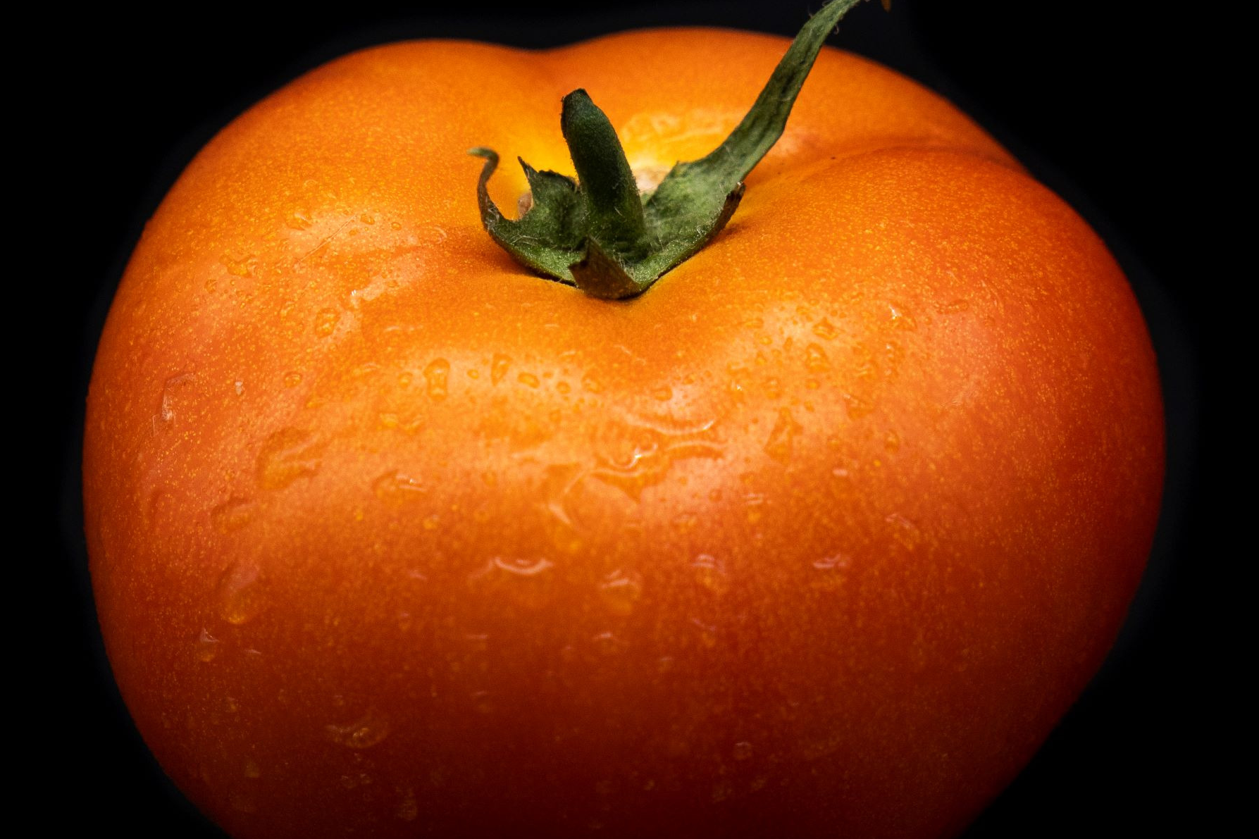 TOMATE RONDE au kg