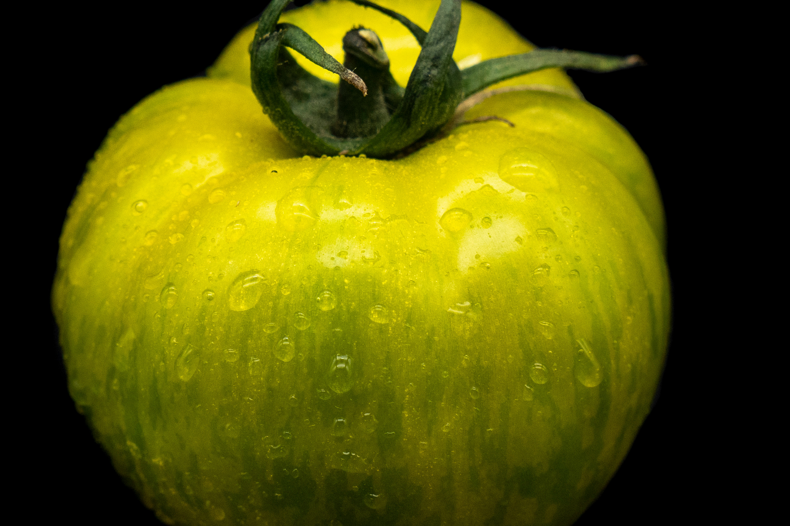 TOMATE GREEN ZEBRA au kg