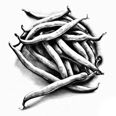 Haricots verts