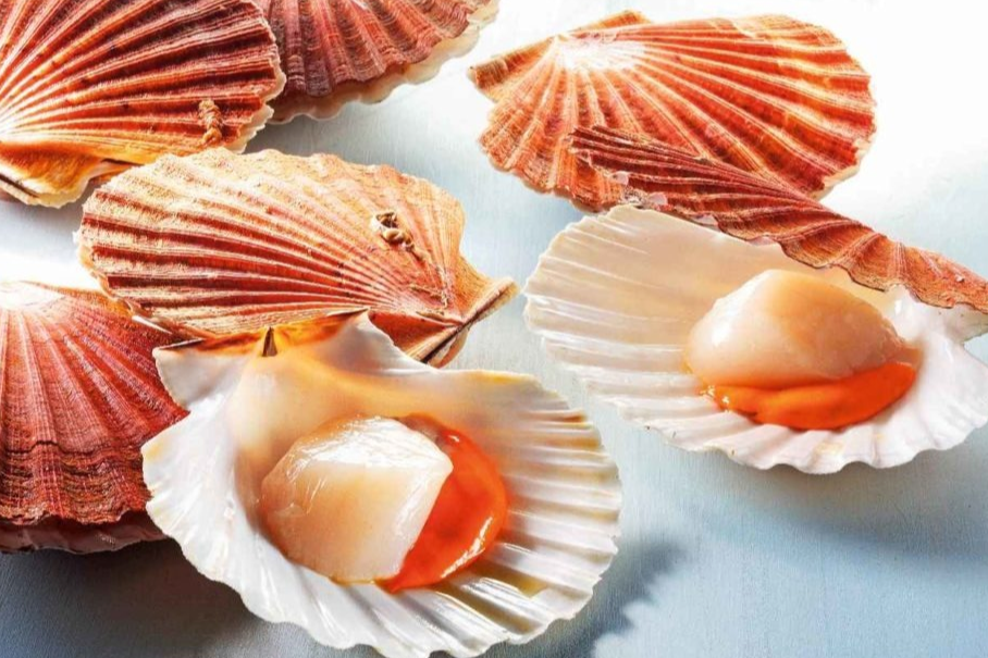 Coquilles saint-jacques (1kg)
