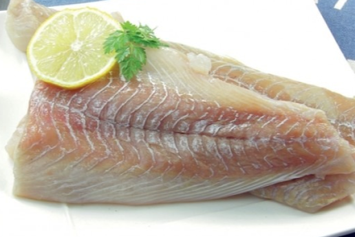 Filet de lieu noir (500gr)